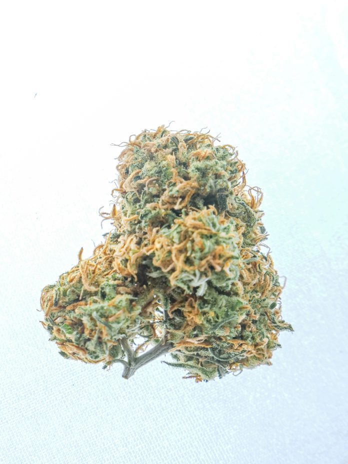 CBN-O-Cannabinoid