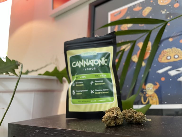 The Classic CBD Cultivar — ​​Cannatonic CBD Review